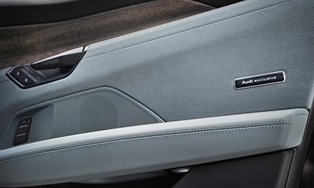 AUDI RS ETRON GT PERFORMANCE EXCLUSIVE EDITION