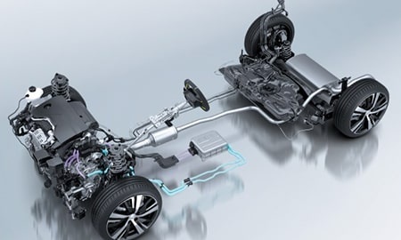 �ץ��硼 ��������