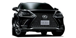 沖縄県の中古車 レクサス NX
