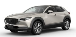 ＣＸ－３０